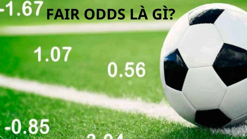 Fair odds là gì?